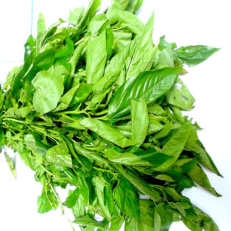Organic Africa fresh leafy vegetables