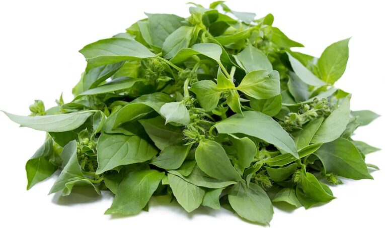 Nigeria curry leaves