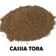 cassiTora