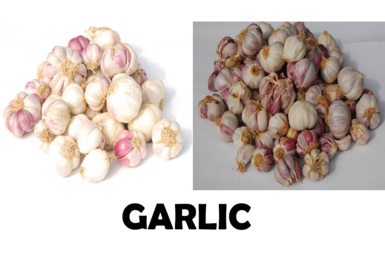 garlic
