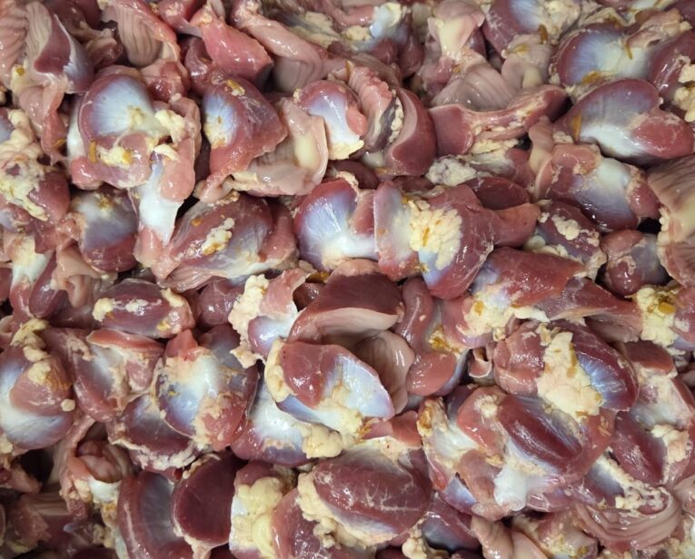 gizzard